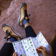 Women Hike | Danner Trail 2650 GTX Prairie Sand/gray