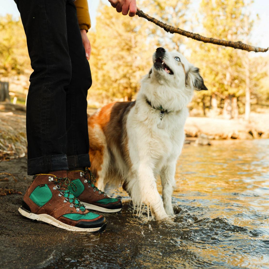 Men Hike | Danner Free Spirit Dark Earth