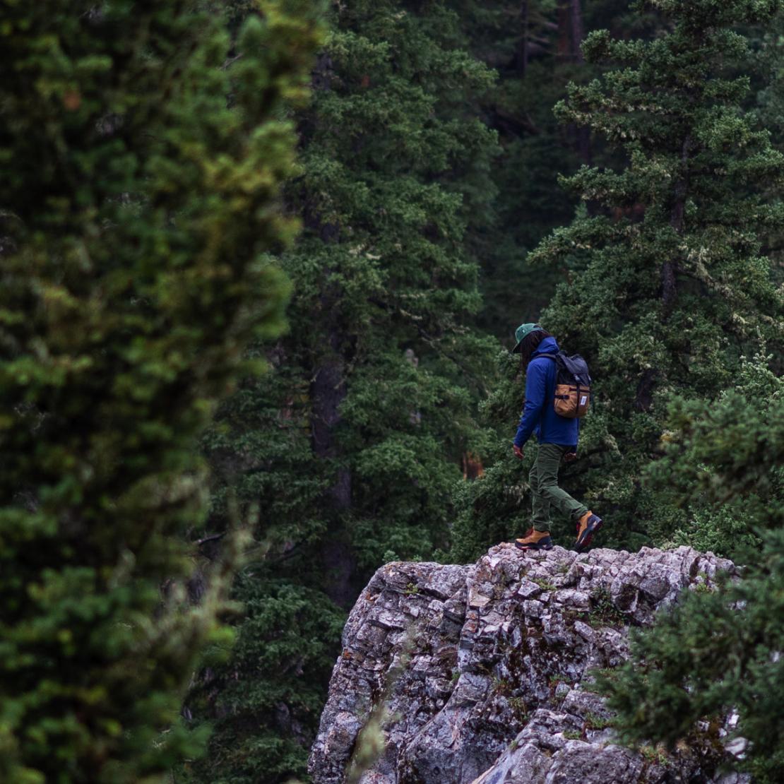 Men Hike | Danner Panorama Brown/red