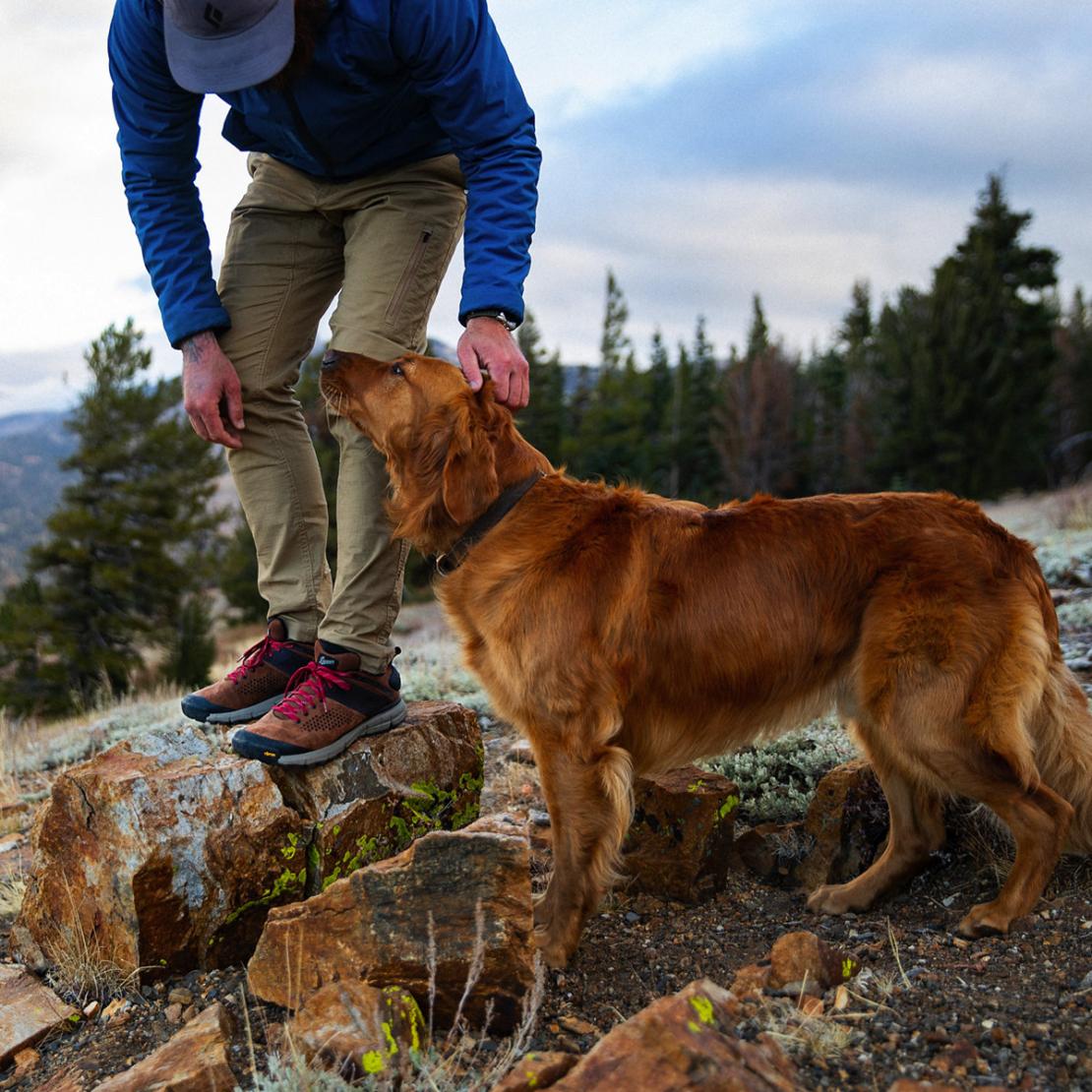 Men Hike | Danner Trail 2650 Brown/red