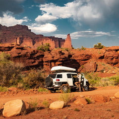 Men Hike | Danner Trail 2650 GTX Black Olive/flax Yellow