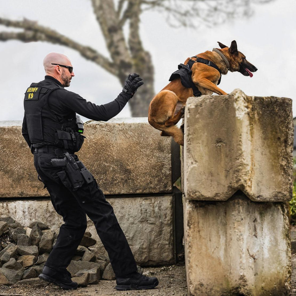 Men Tactical | Danner Striker Bolt Black