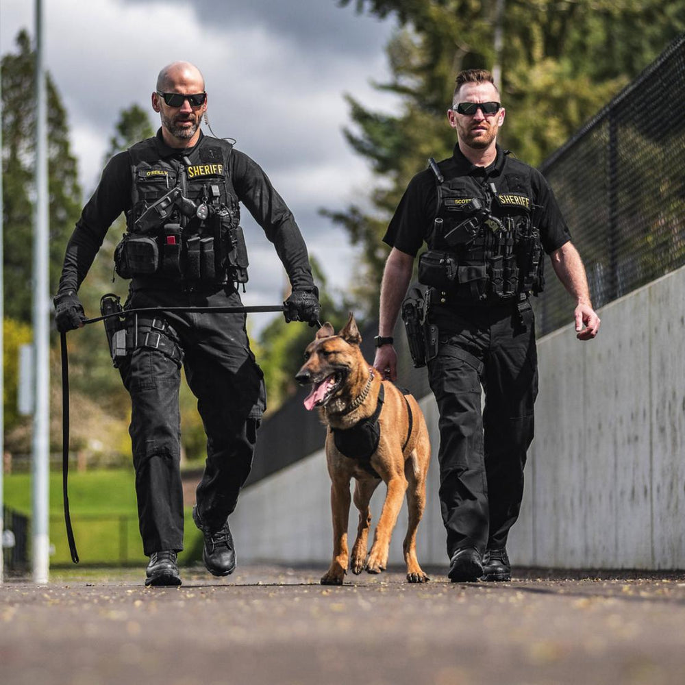 Men Tactical | Danner Striker Bolt Black