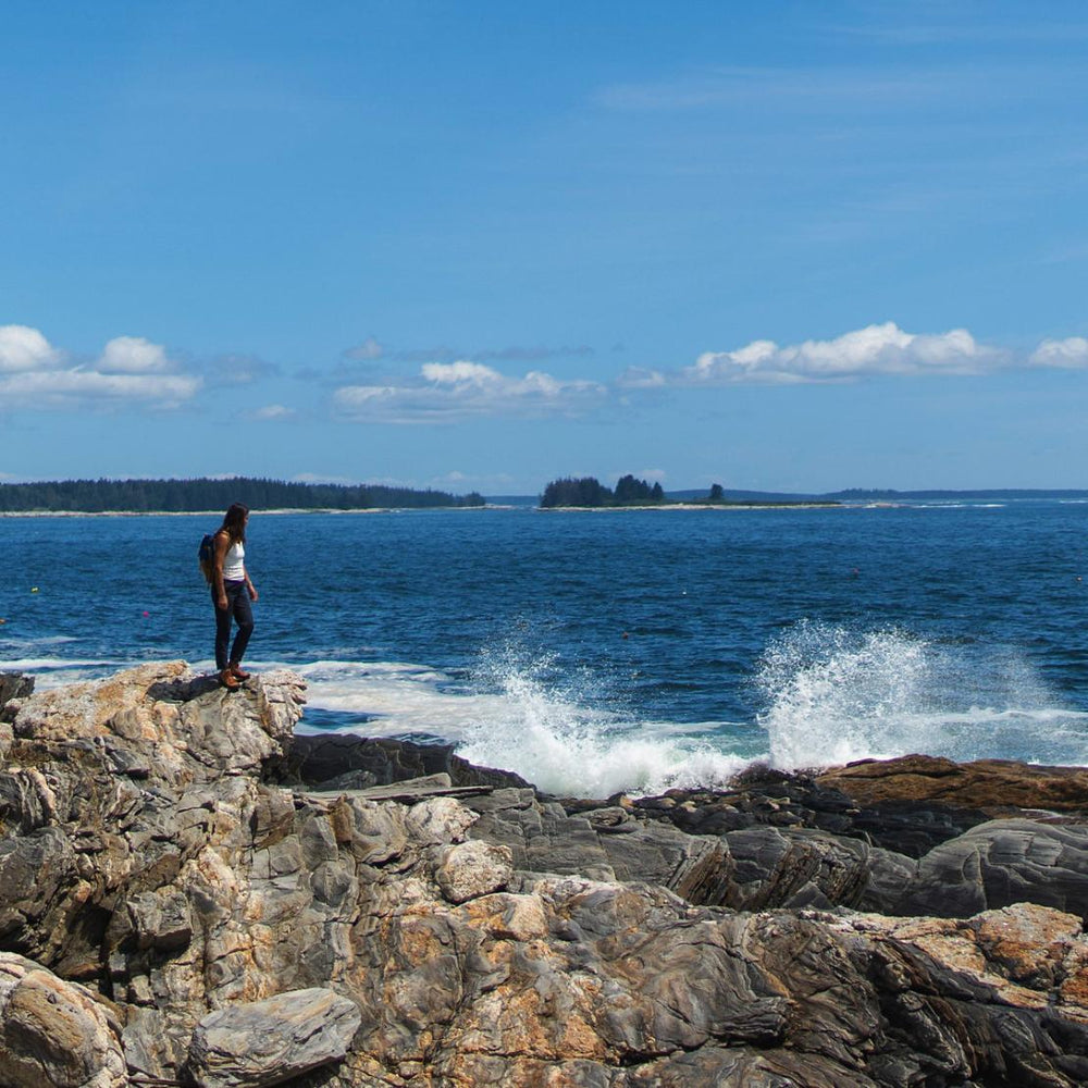Women Hike | Danner Panorama Brown/red