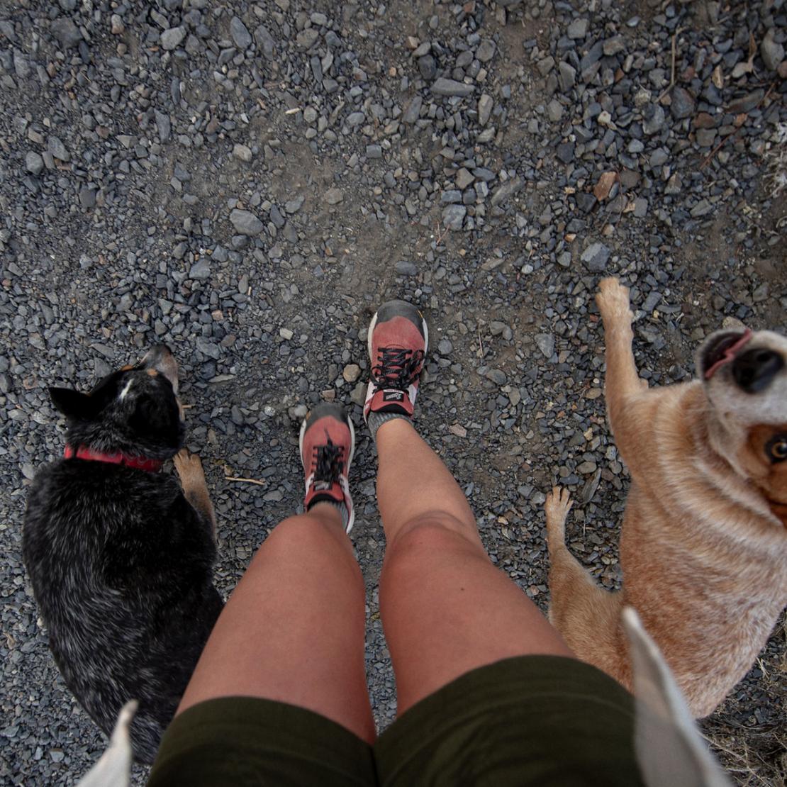 Women Hike | Danner Trail 2650 Hot Sauce