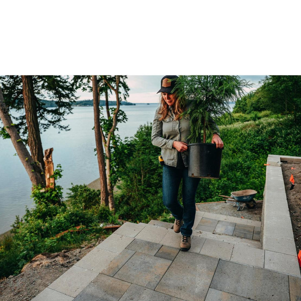 Women Work | Danner Vicious Brown Composite Toe (nmt)