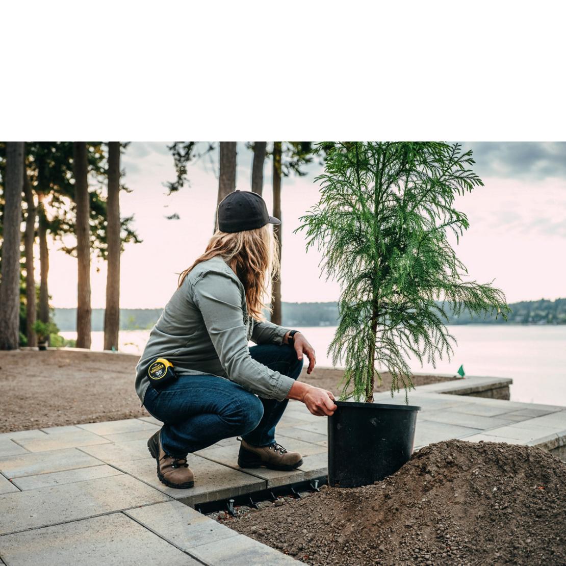 Women Work | Danner Vicious Brown Composite Toe (nmt)